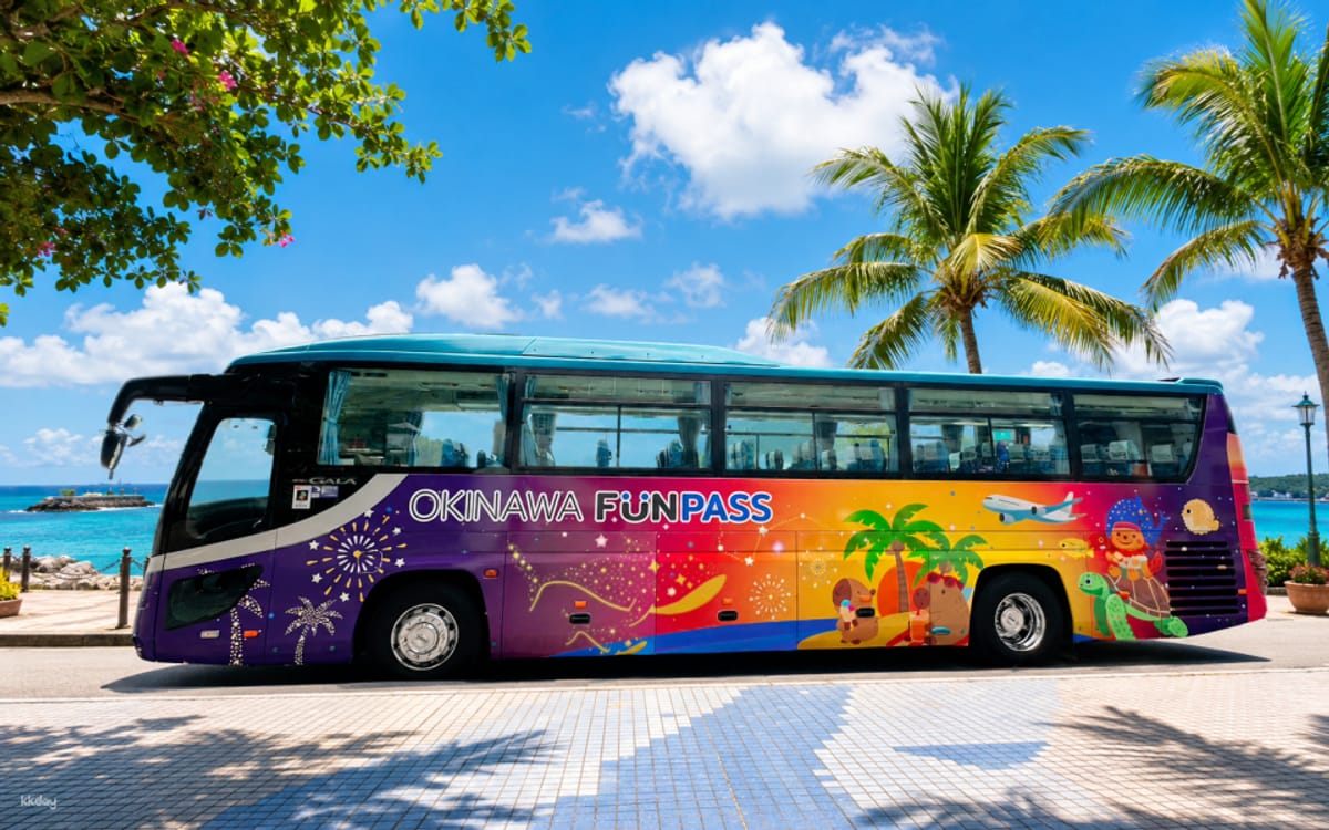 Guaranteed Departure for Solo Traveler] Fun Pass Okinawa Bus Tour