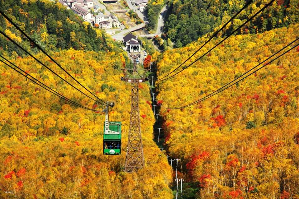 Guaranteed Departure for Solo Traveler- Early bird special offer | Hokkaido Mid-Autumn Festival limited-time autumn foliage viewing day trip | Kurodake Ropeway viewing & Asahiyama Zoo admission & Asahikawa Ramen Village | Bilingual (Chinese and English) guided tour - Photo 1 of 9