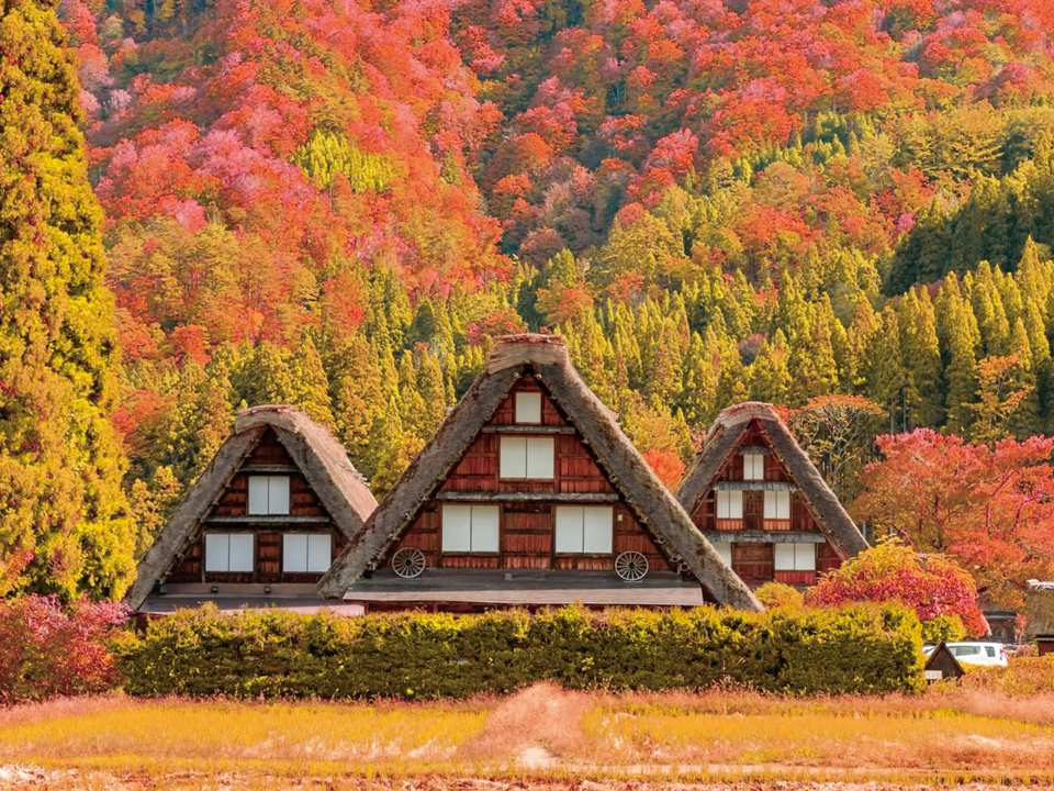 [Guaranteed Departure for Solo Traveler] Shared day trip to Shirakawa-go, Japan | Hida Takayama Old Town Tour & Beef Cuisine Experience | Gassho-zukuri Village House Viewing | Departure from Nagoya - Photo 1 of 4