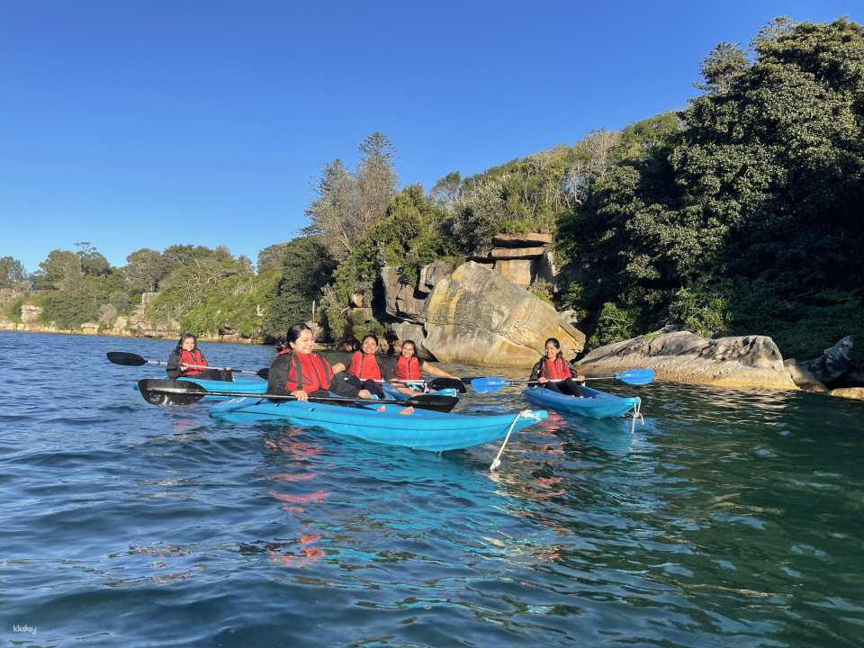 Guided Kayak Tour Of Manly Cove Beaches by Manly Sailing | Sydney - Photo 1 of 5