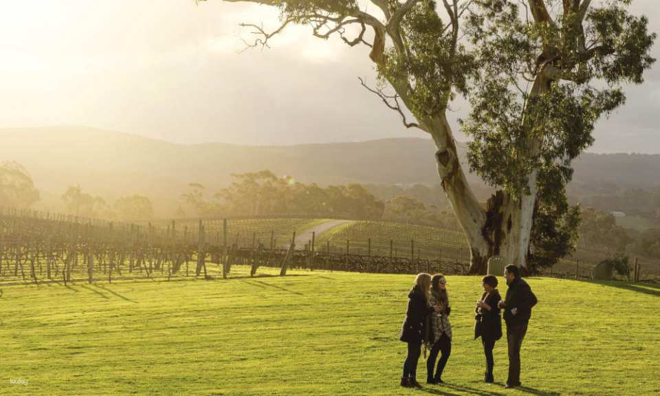 Hahndorf and Adelaide Hills Hop-On Hop-Off Tour (with Transfers from Adelaide) | South Australia - Photo 1 of 5