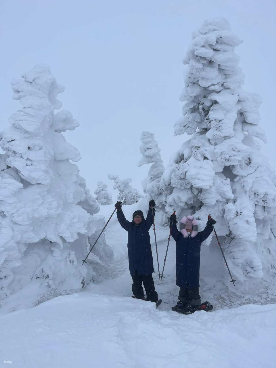 Hakkoda"Juhyo" Snow Monster Snowshoe Tour - Photo 1 of 13