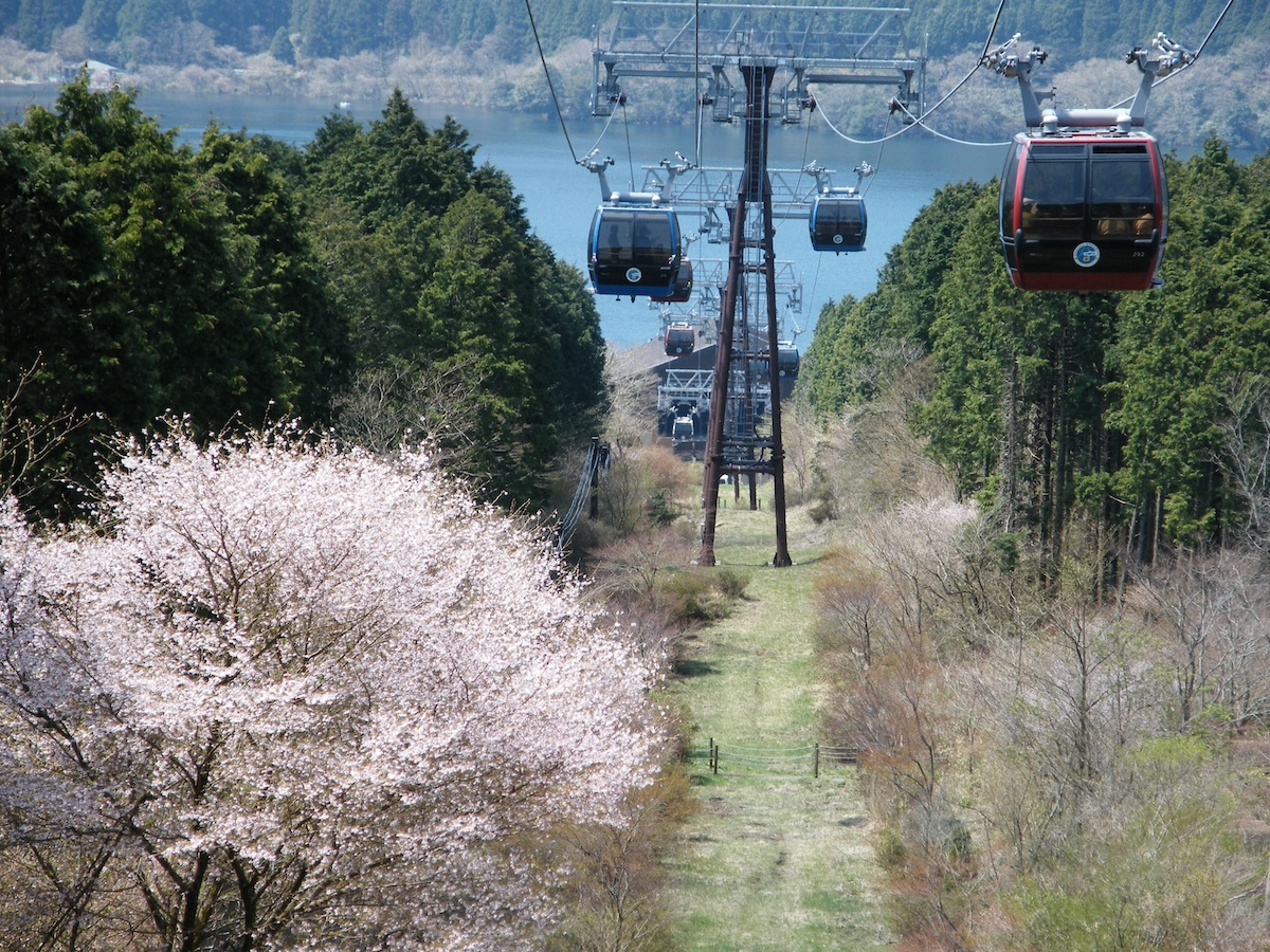 神奈川县的Hakone Ropeway One-Way / Round-Trip Ticket | Pelago