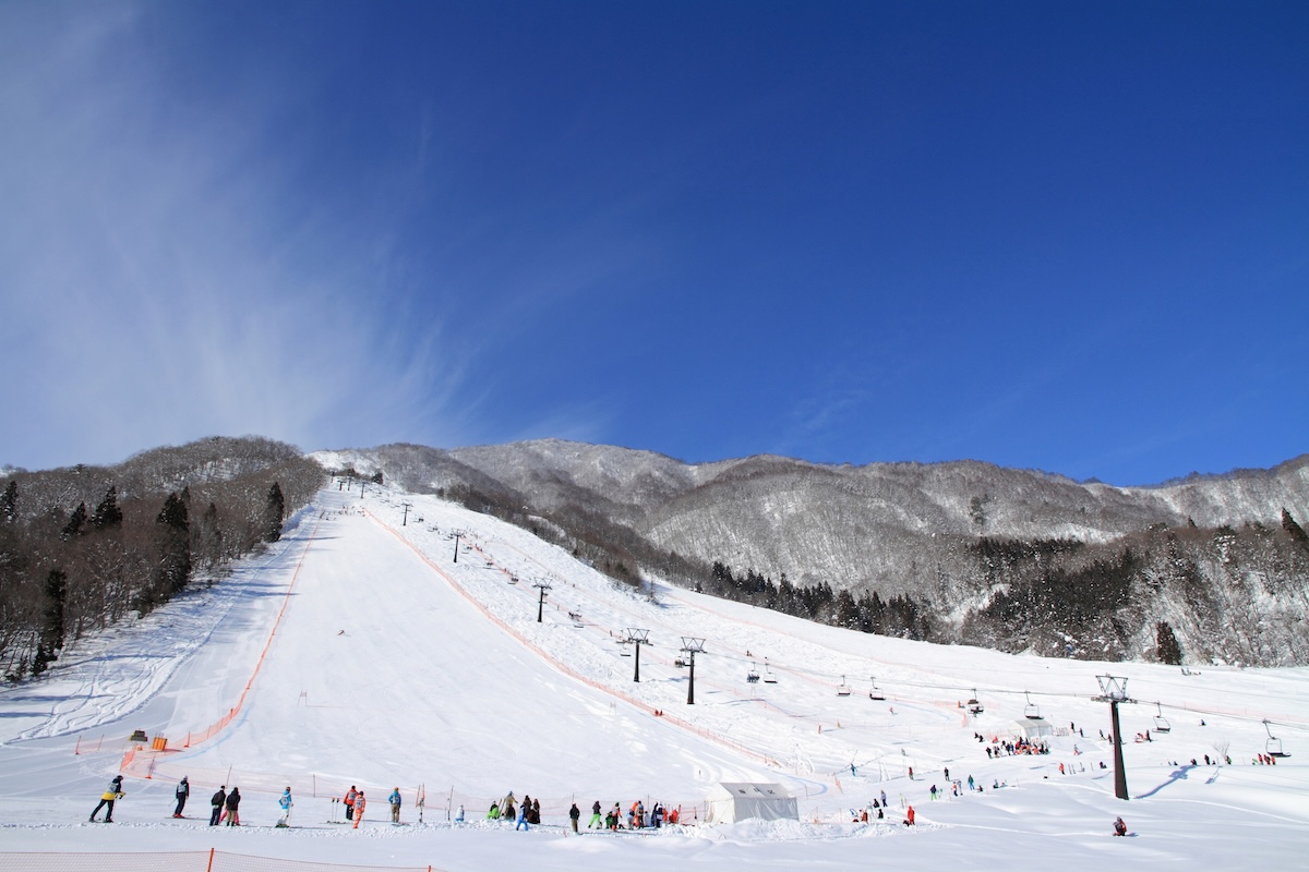 Hakuba Goryu & Hakuba47 | Lift Ticket + Ski/Snowboard Rental (Iimori Gelande) - Photo 1 of 5