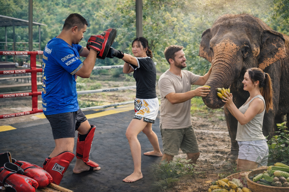 Half Day Program Muay Thai Training & Elephant Care Experience | Chiang Mai - Photo 1 of 9