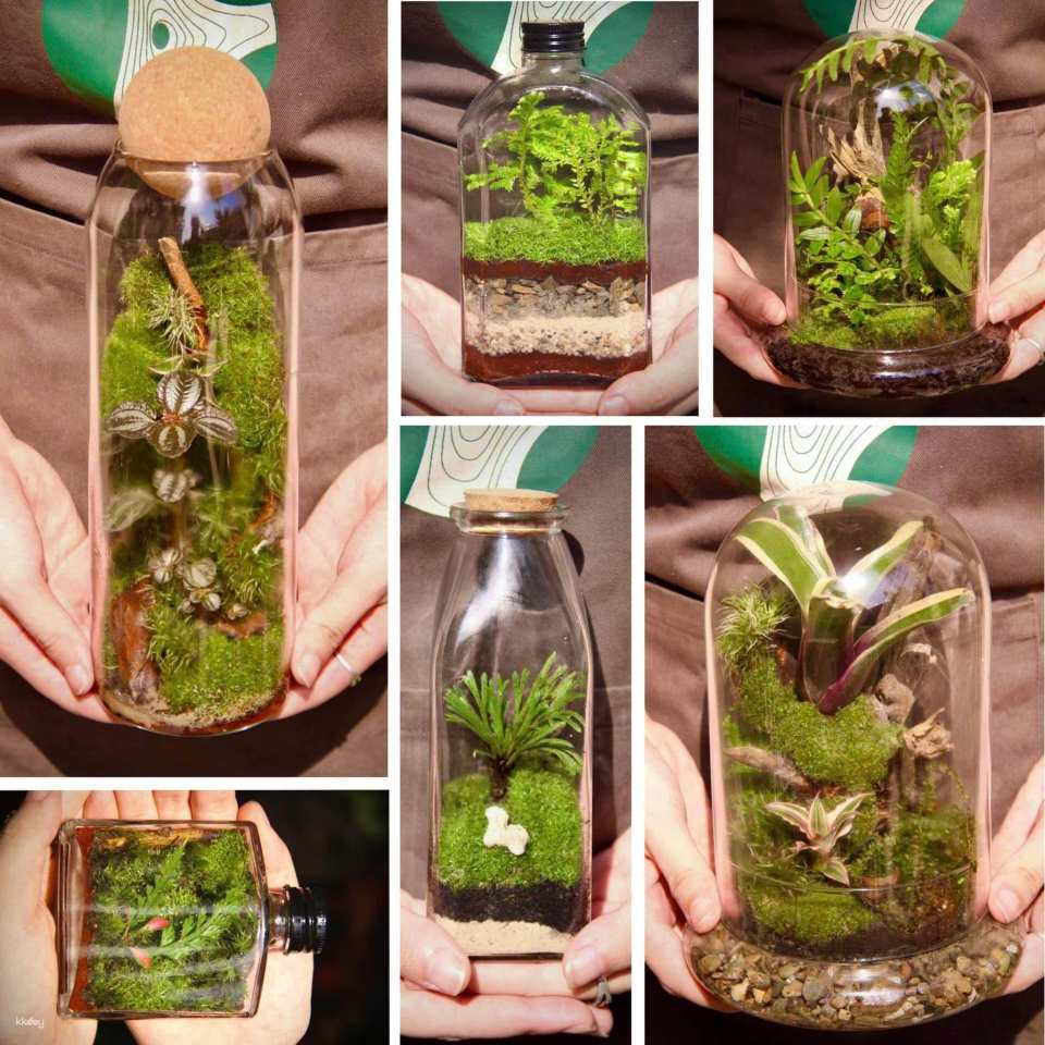 Hanoi | Artful Hanoi: Museum & Terrarium Workshop | Departure from Hanoi tại Hà Nội | Pelago