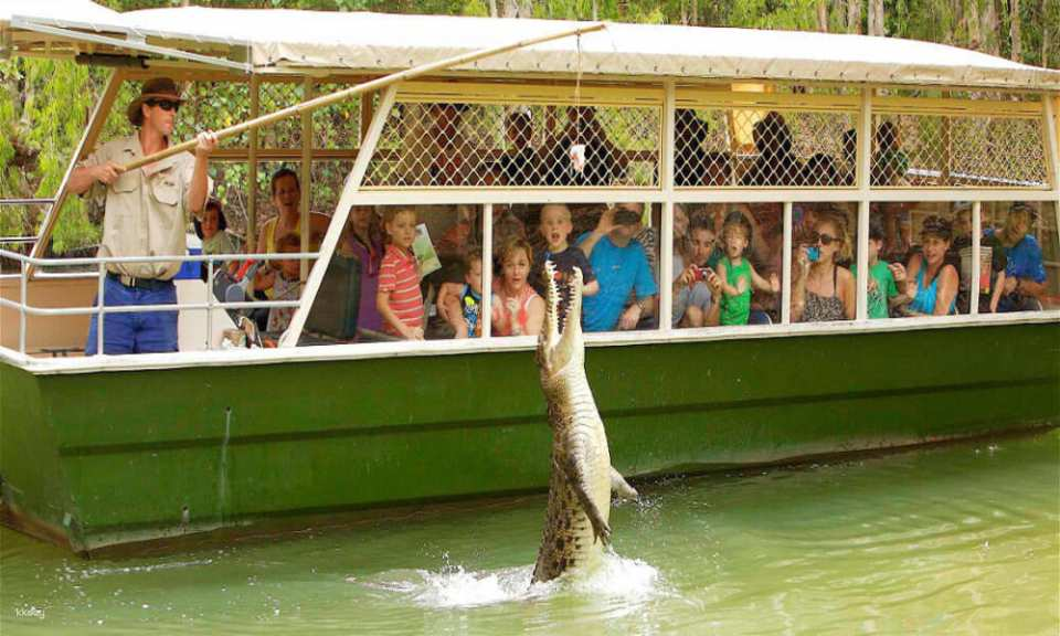 Hartley's Crocodile Adventures Park Entry | Queensland - Photo 1 of 8
