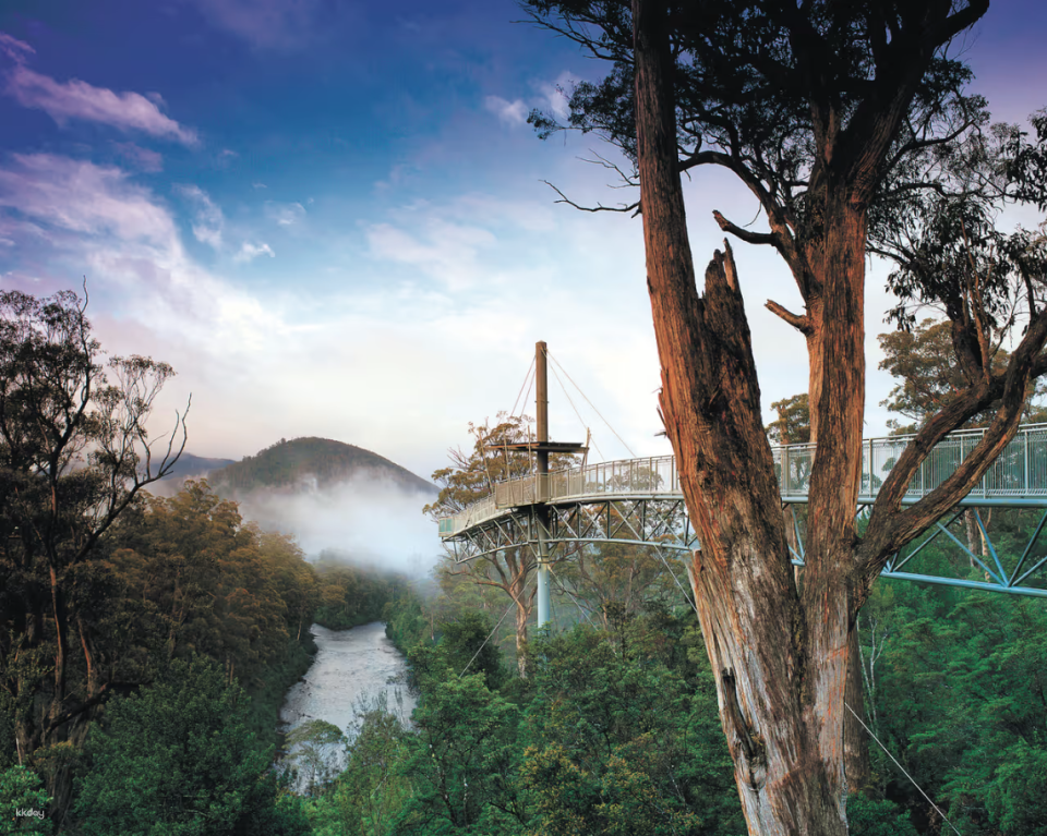 Hastings Cave, Tahune Airwalk & the Huon Tasting Trail | Tasmania - Photo 1 of 9