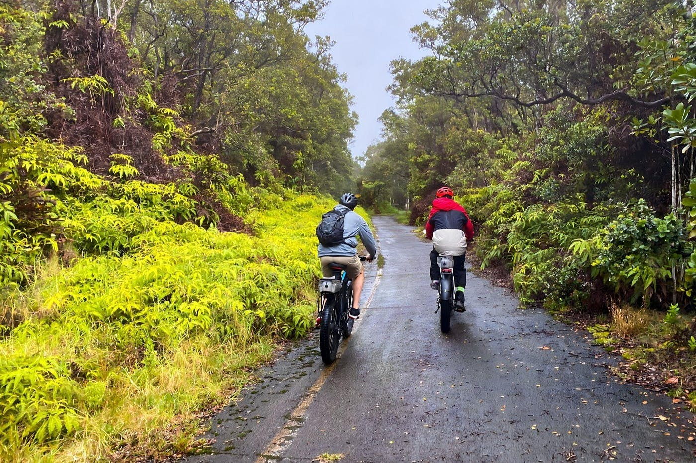 Hawaii Volcanoes National Park: E-Fat Bike Rental - Photo 1 of 7