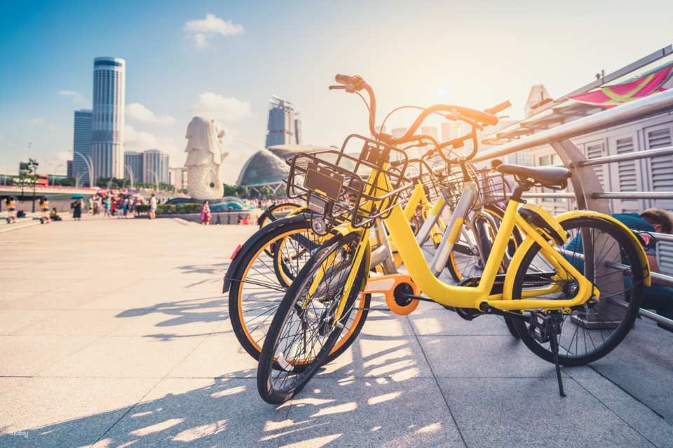 Historical Singapore Bicycle Tour: Local Neighbourhood Visit, Chinatown, Esplanade, Singapore River, World War II History, and More | Singapore - Photo 1 of 8