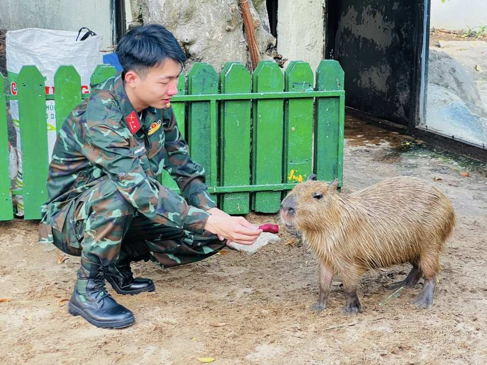 Ho Chi Minh City | Zoo & Vietnam History Museum Guided Tour | Half Day Tour with Local Guide - Photo 1 of 7