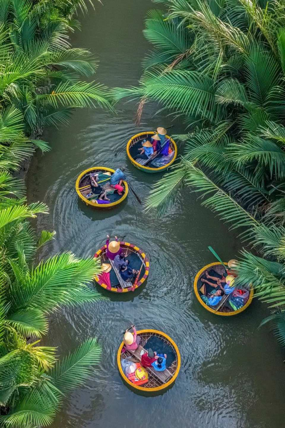 Hoi An Coconut Forest Basket Boat Tour from Da Nang City Center โ Private Transfer & Ticket | Vietnam - Photo 1 of 5