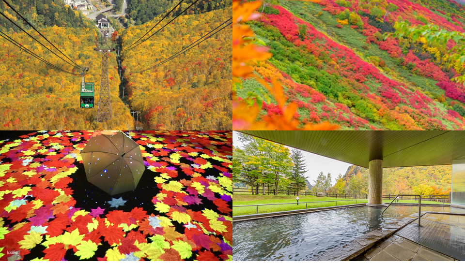 Hokkaido 2-Day Tour + Hot Spring Hotel | Miracle Illuminations, Kurodake & Biei - Photo 1 of 10