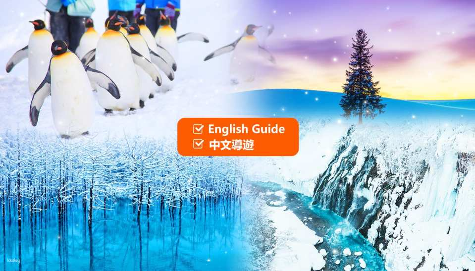 Hokkaido One-day Tour: Asahiyama Zoo, Internet Celebrity Christmas Tree, Shirasu Falls, Biei Green Pond|Free Admission to Asahiyama Zoo (Departing from Sapporo) - Photo 1 of 10