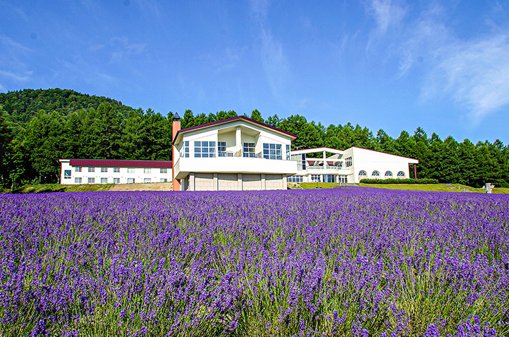 【Hokkaido Regular Sightseeing Bus】 G Highland Furano, Farm Tomita, Shikisai no Oka & Blue Pond Popular Sightseeing Course (Audio Guide, Lunch Included) - Photo 1 of 9