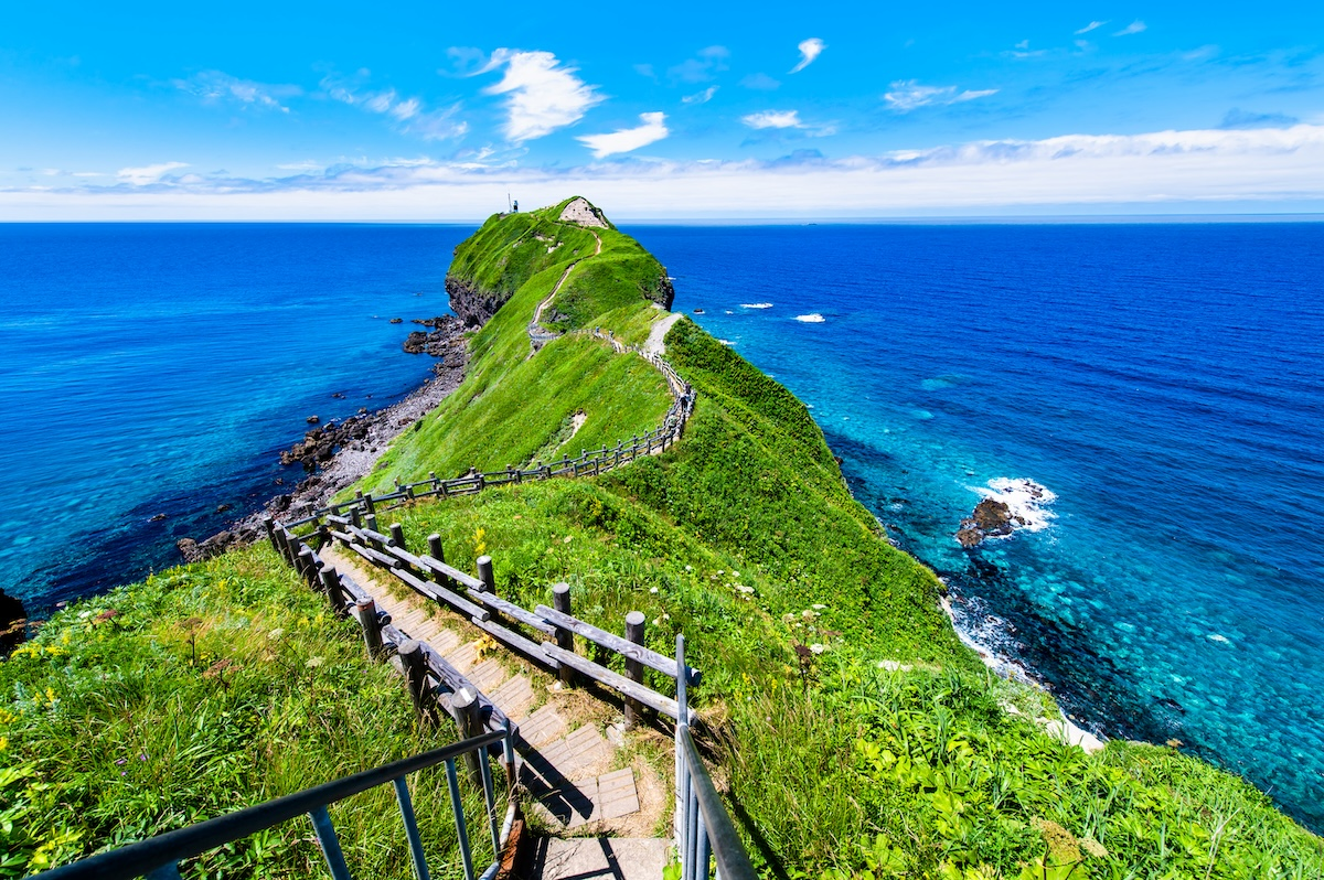 [Hokkaido Regular Sightseeing Bus] N Shakotan Cape Kamui, Otaru Canal, and Shiroi Koibito Park Tour(Excluding Multilingual Audio System) - Photo 1 of 5