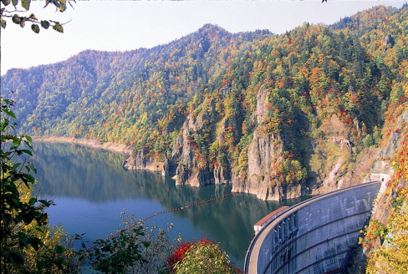 【Hokkaido Regular Sightseeing Bus】Q Famous Autumn Foliage Spot Hoheikyo and Autumn Foliage Gondola & Otaru Canal Course - Photo 1 of 5