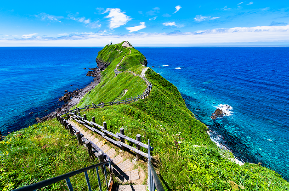Hokkaido Wonders & Sweets: Shakotan Cape Kamui, Otaru Canal & Shiroi Koibito Park - Photo 1 of 13