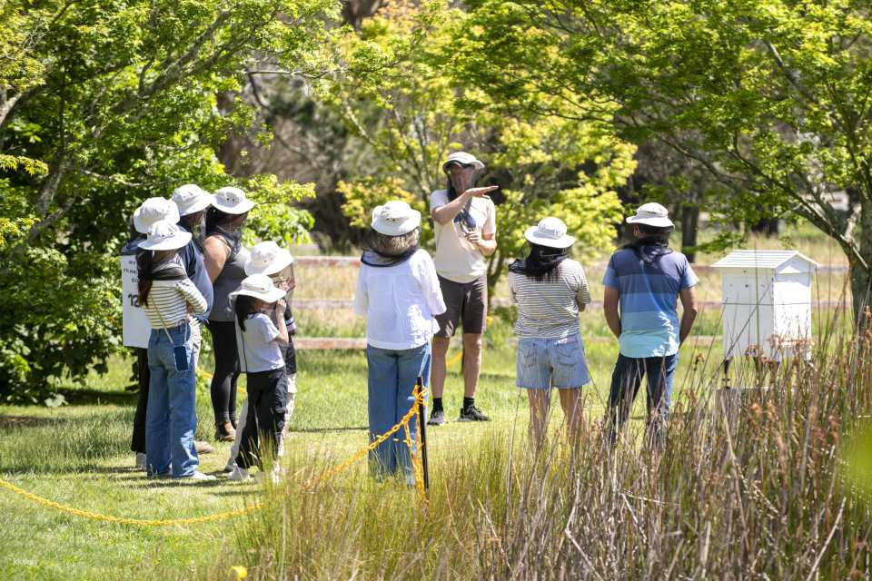 Honey Farm Tour with Guided Tasting and Morning Tea | Bowral Australia - Photo 1 of 10