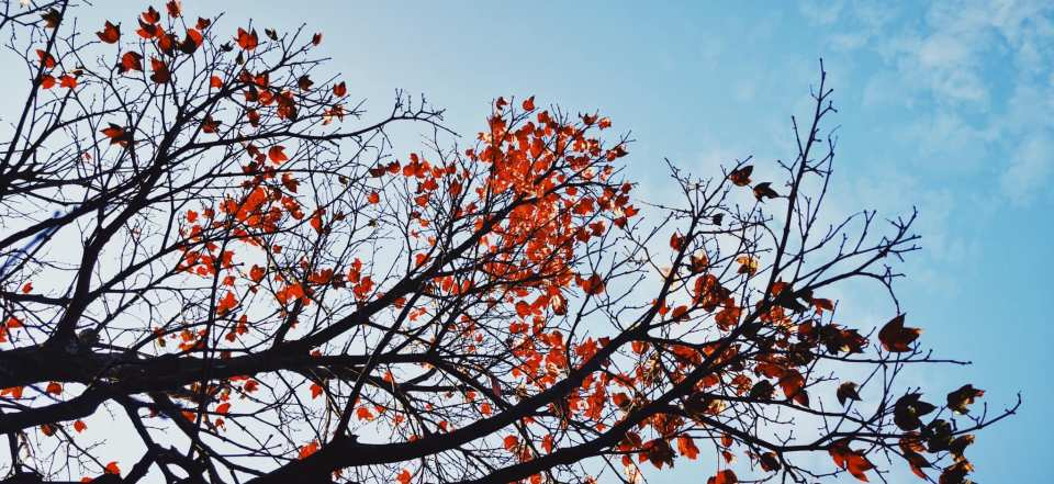 Hue: Bach Ma National Park Discovery Group Tour - Photo 1 of 4