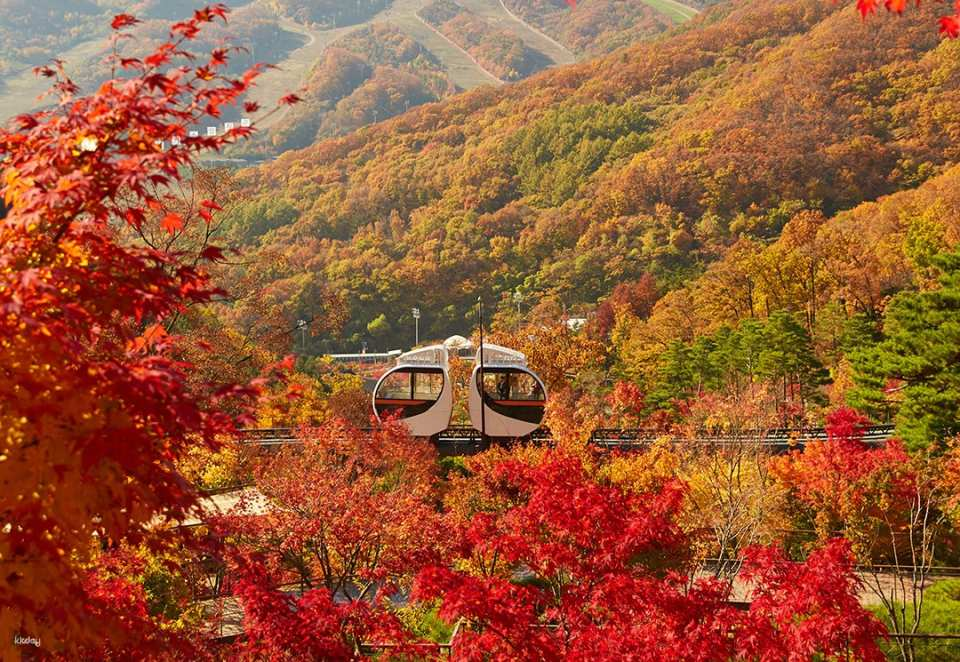 Hwadam Forest | Korean Folk Village | Suwon Starfield | Departing from Seoul. One-day tour - Photo 1 of 8