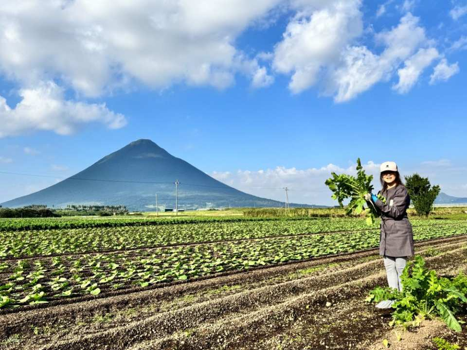 Ibusuki Detox: Sand Bath & Farm Smoothie in Kagoshima - Photo 1 of 14