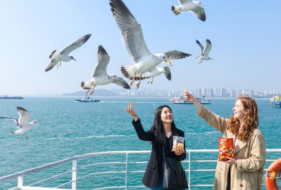 Incheon | Feeding seagulls at sea, cycling along the coastal railway, Incheon Chinatown, Songwol-dong Fairy Tale Village, Sorae Eco-Park | Departing from Seoul - Photo 1 of 10