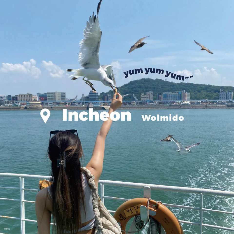 Incheon Private Day Tour: Luge, Railbike & Ferry with Seagull Feeding - Photo 1 of 9