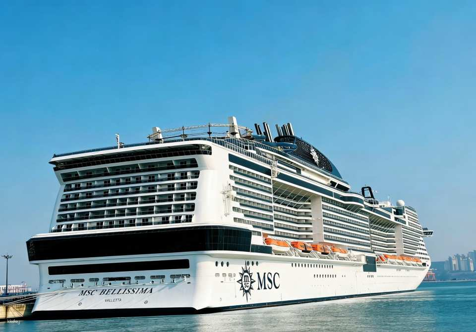 [International Cruise Ship Fukuoka Shore Excursion] Fukuoka Port Day Trip, High-Quality All-Inclusive Tour, Chinese-Speaking Driver (Itinerary flexibly adjusted according to port arrival time) - Photo 1 of 5