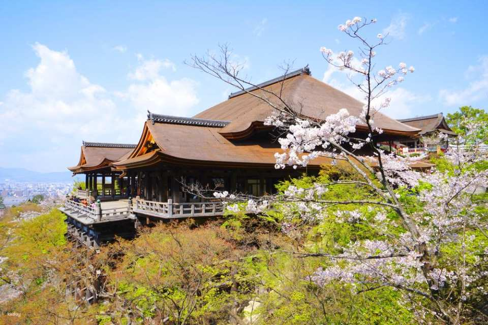 Private car private charter car in Osaka and Tokyo, Japan | Customized day private charter car of Osaka/Kyoto/Nara/Miyama/Amanohashidate/Uji | Airport/one-way transfers - Photo 1 of 10