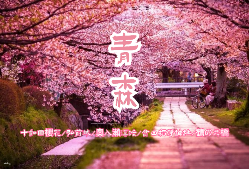 Japan Private Charter Car Tour | Tohoku Aomori City Private Charter Car| Departure and End in Aomori / Towada Cherry Blossoms / Hirosaki Castle / Oirase Stream / Takayama Inari Shrine / Tsuru no Maibashi Bridge | Various itineraries available for flexible combination - Photo 1 of 6