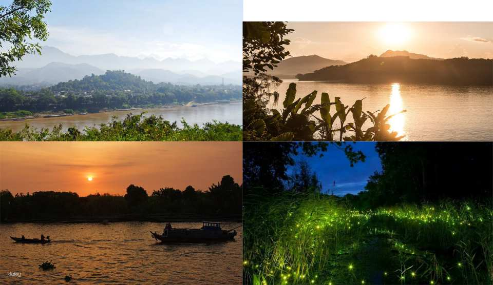 【Japanese Guide】Ho Chi Minh City Mekong Deluxe Day Tour: Crocodile Feeding, Jungle Cruise & Firefly Watching by TNK Travel JAPAN (Includes hotel pickup and lunch/dinner) - Photo 1 of 10