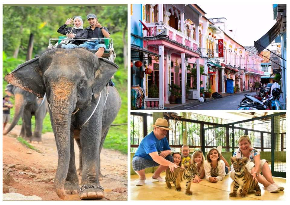 [Japanese Guide] Phuket Island Tour: Tiger Kingdom, Elephant Ride, Old Town, Chalong Temple, Promthep Cape - Photo 1 of 8