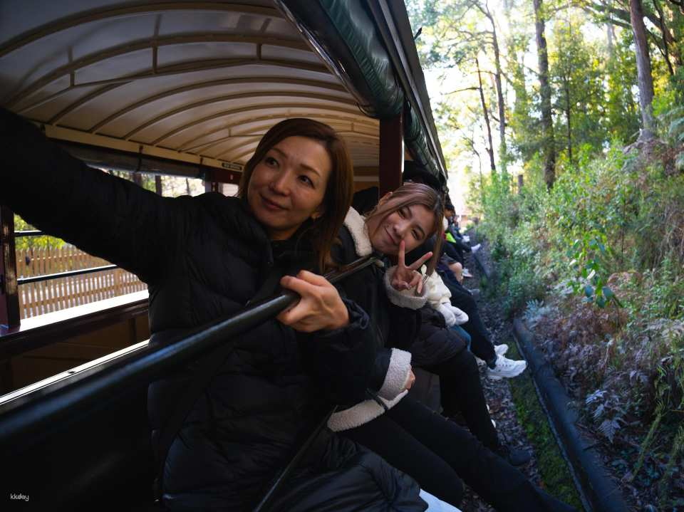 <Japanese-speaking guide> Puffing Billy Steam Locomotive and Dandenong Hills Tour (Small Group) by Mr John Tours - Photo 1 of 10