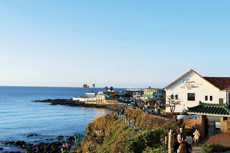 Jeju Island Premium Group Tour | Udo Island & Seongsan Ilchulbong Peak & Seopjikoji & Columnar Jointing Zone & Aewol Cafe Street - Photo 1 of 5