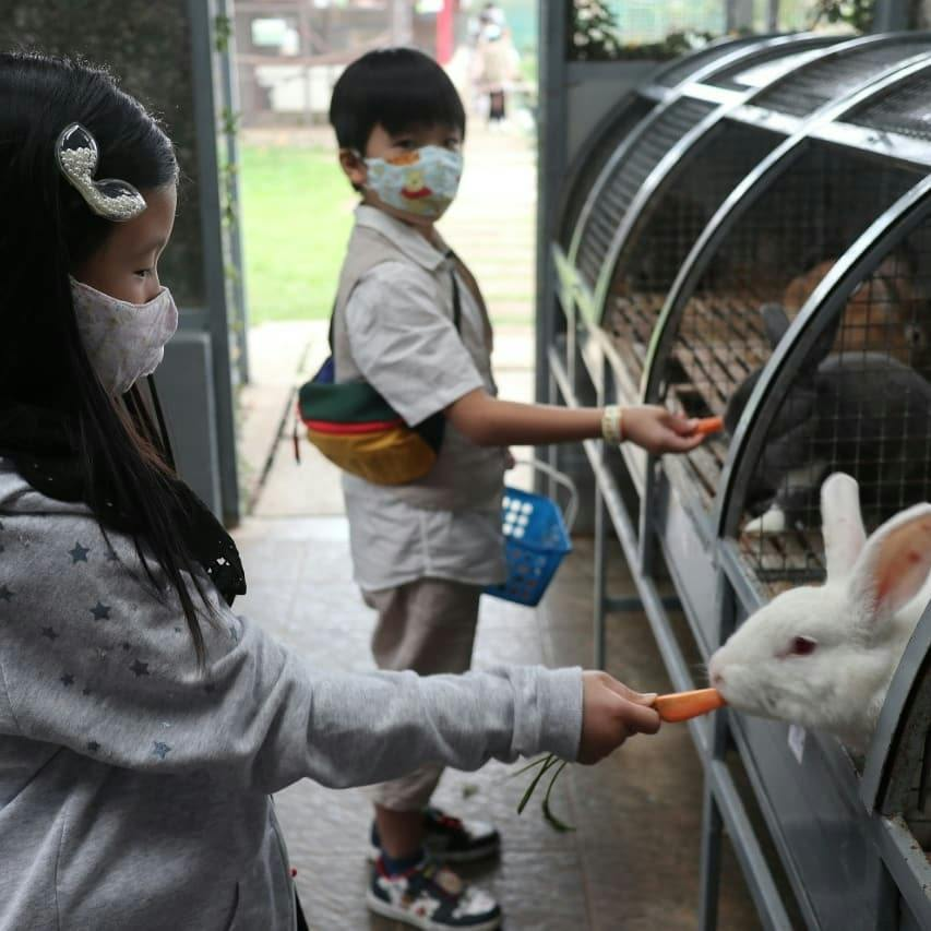 Jendela Alam Bandung: Fun Farming Package + Admission Ticket - Photo 1 of 1