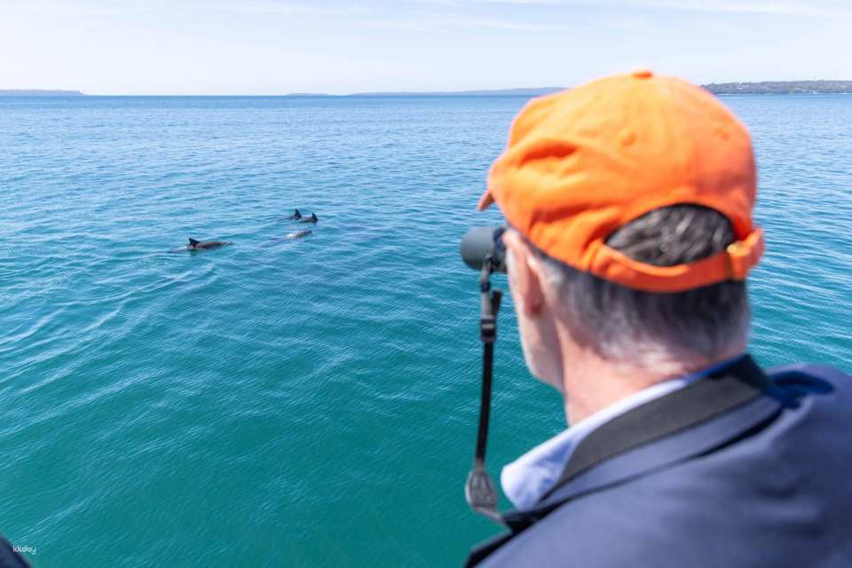 Jervis Bay Day Trip: Dolphin Cruise, Berry Donuts & Kiama Blowhole | Sydney - Photo 1 of 10