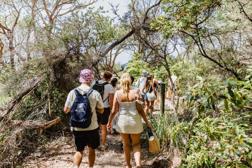 Jervis Bay Tour with Beaches, Koalas & Kangaroos | New South Wales - Photo 1 of 10