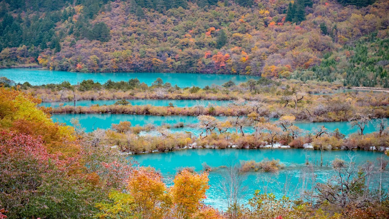 Jiuzhaigou Scenic Area Entrance Ticket + Sightseeing Bus - Photo 1 of 5