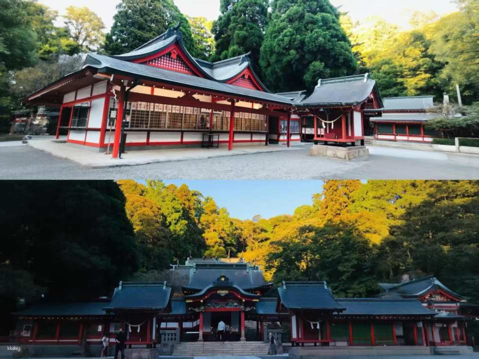 Departure from Sapporo | Ueno Farm + Mihon Rin Forest with Exotic Tree Species | Garden-style Farm & Tranquil Nordic Forest | Small Group (6-9 people) | Chinese-speaking Driver - Photo 1 of 10