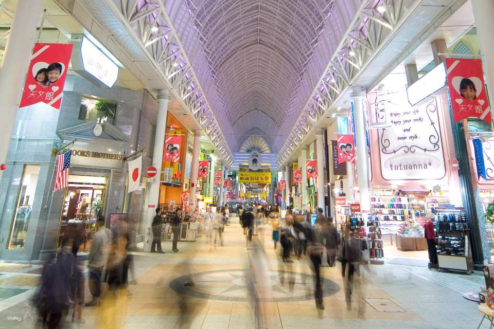 Kagoshima Half-Day Sightseeing Tour with Chinese Guide - Photo 1 of 5