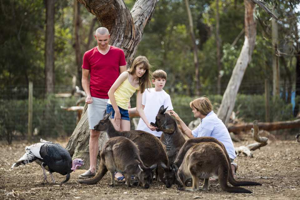 Kangaroo Island Experience Day Tour from Adelaide | South Australia - Photo 1 of 7