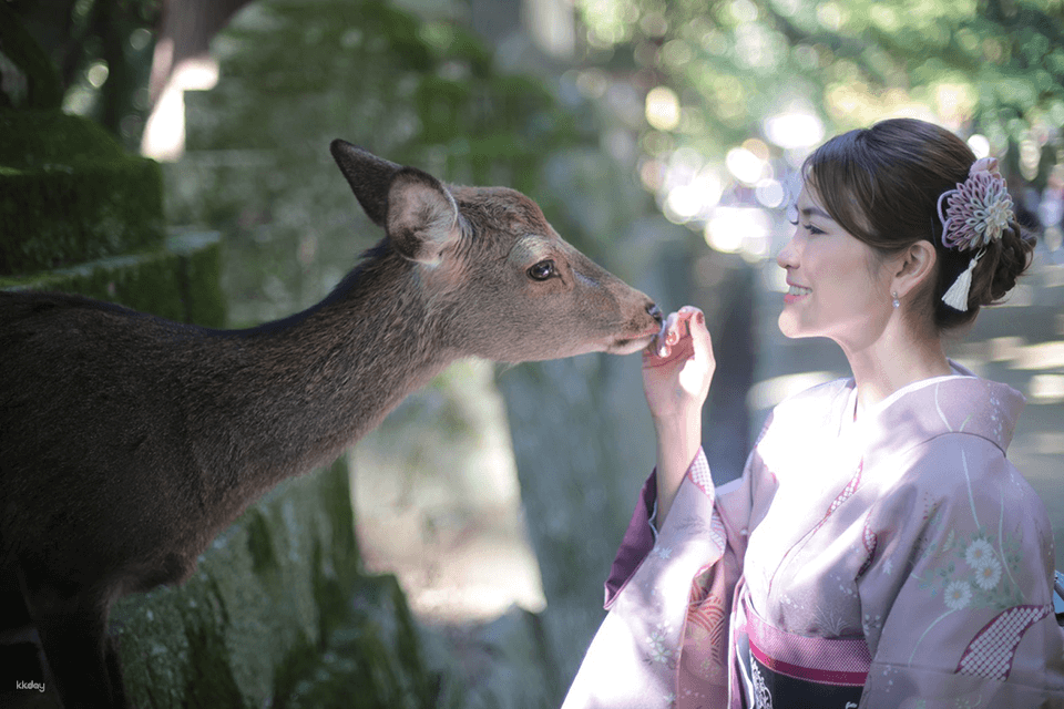 Kimono Photography Experience with Cultural Activities in Nara - Photo 1 of 7