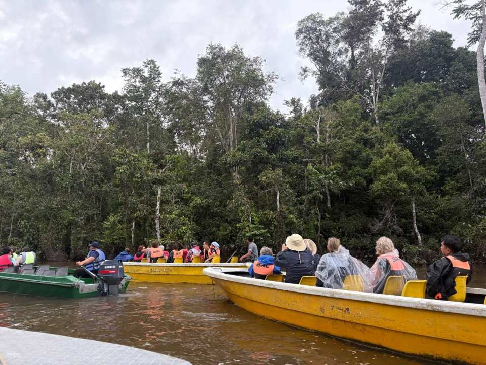 Kinabatangan River Wildlife Day Tour with Lunch | Sandakan - Photo 1 of 8