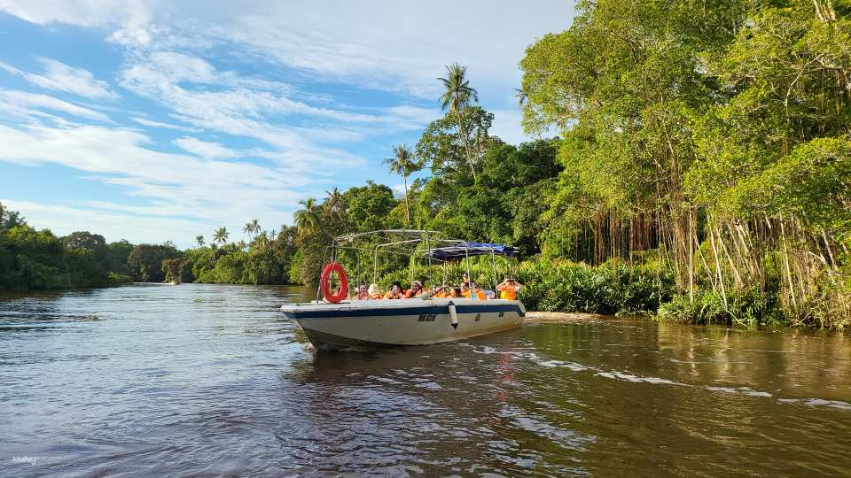 Klias Proboscis Monkey & Fireflies River Cruise Tour - Photo 1 of 5