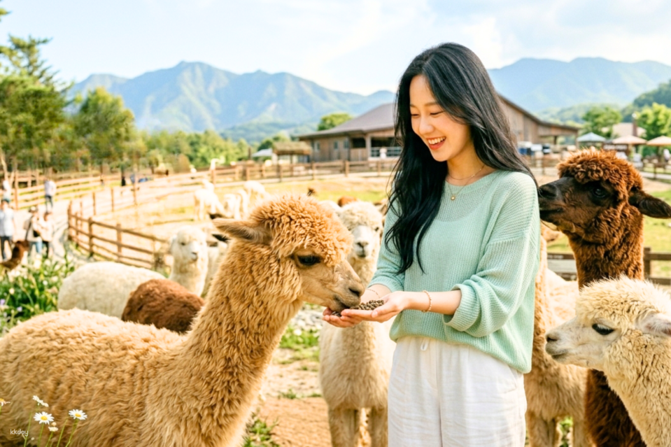 Korea Cherry Blossom Route | Eden Garden Cherry Blossom Road Festival, Nami Island, Gangchon Rail Bike, Alpaca Farm, Morning Calm Garden, Petite France, Little Italy Village, Gapyeong Begonia Bird Park, Samaksan, LEGOLAND (Departing from Seoul) - Photo 1 of 10
