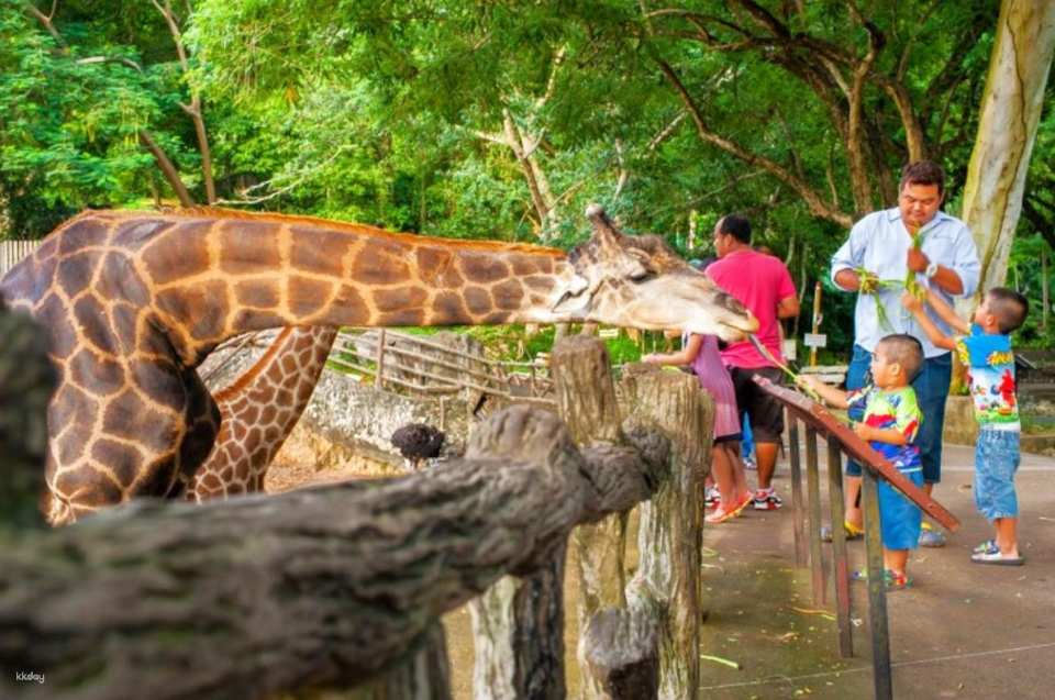 (Korean Guide) Khao Kheow Open Zoo Private Tour / Round-trip to Bangkok - Photo 1 of 9