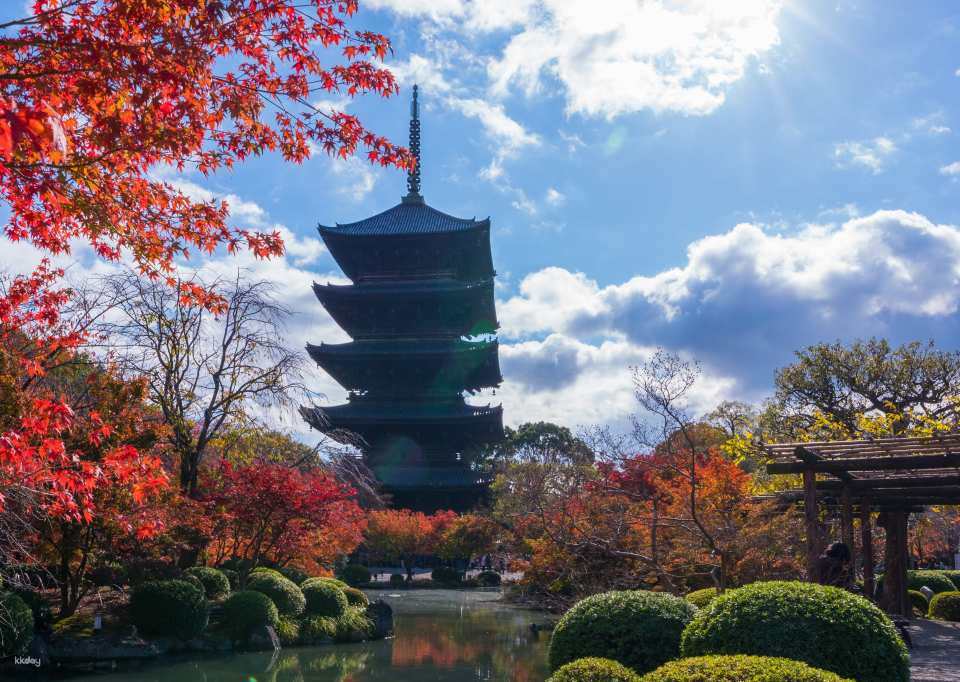 KTIC Friends Toji Flea Market Walking Tour in Kyoto Half Day - Photo 1 of 5