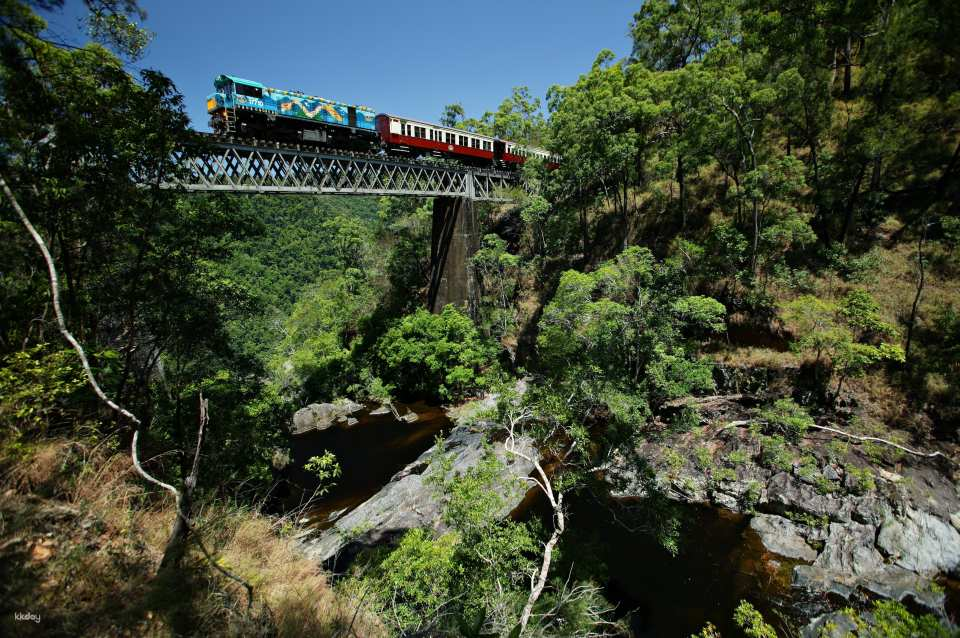 Kuranda Scenic Railway + Skyrail & Amphibious Experience 1-Day Tour (Japanese-speaking guide, lunch, hotel transfers included) by Dokidoki Tours - Photo 1 of 10