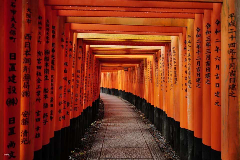Kyoto Early Morning Tour with English-Speaking Guide - Photo 1 of 5